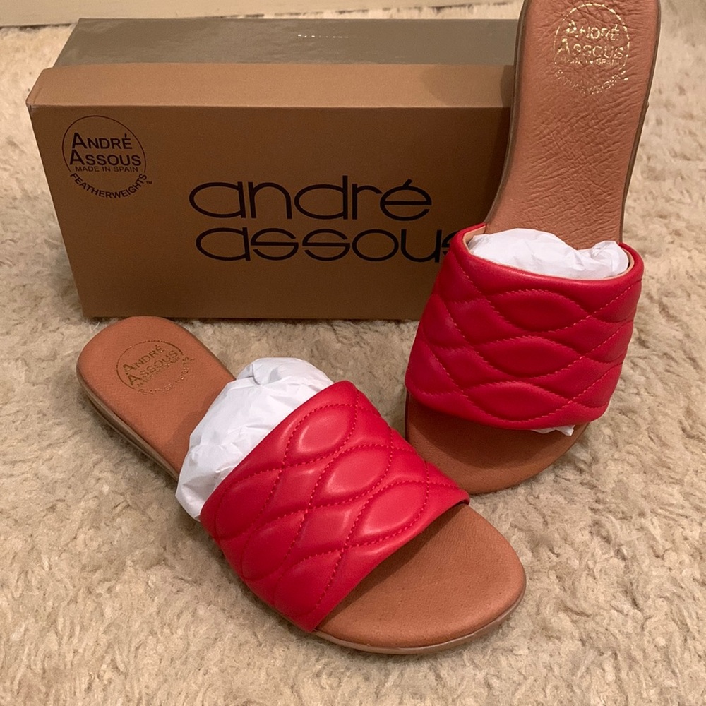 Andre Assous Red Slides